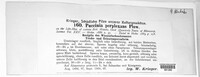 Puccinia recondita image